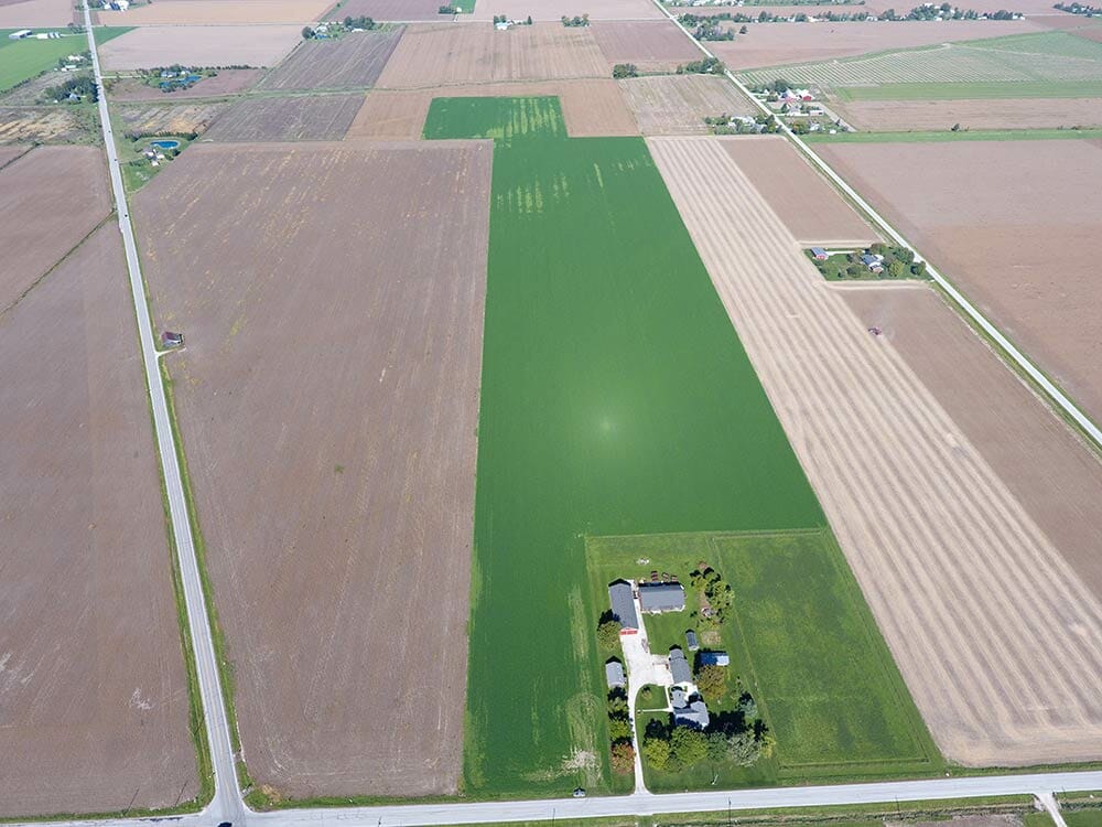 Drone is Used to Determine Existing Plant Population